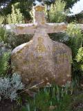 image of grave number 134242